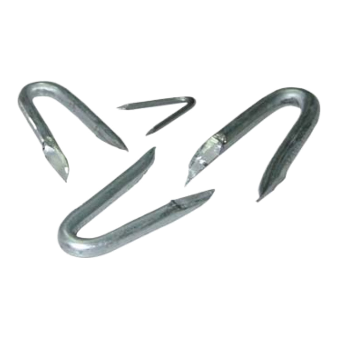 Grampillón Pulido 1.5x16 mm 70 uds