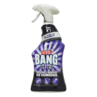 ANTIHUMEDAD Y MANCHAS SPRAY CILLIT 750 ML
